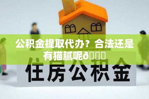 兴文公积金提取代办？合法还是有猫腻呢😏